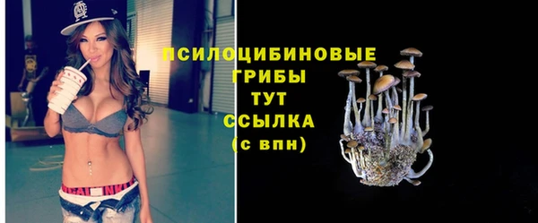 синтетический гашиш Алексеевка