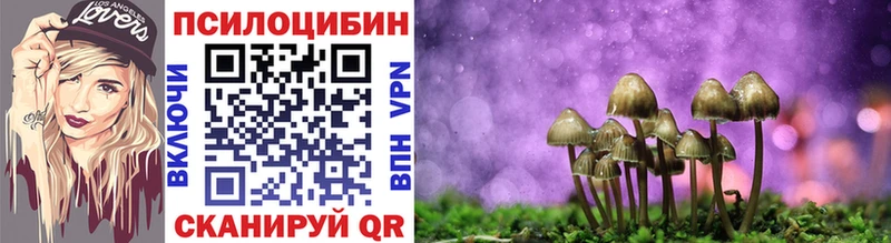 купить наркотики цена Тосно Галлюциногенные грибы мицелий