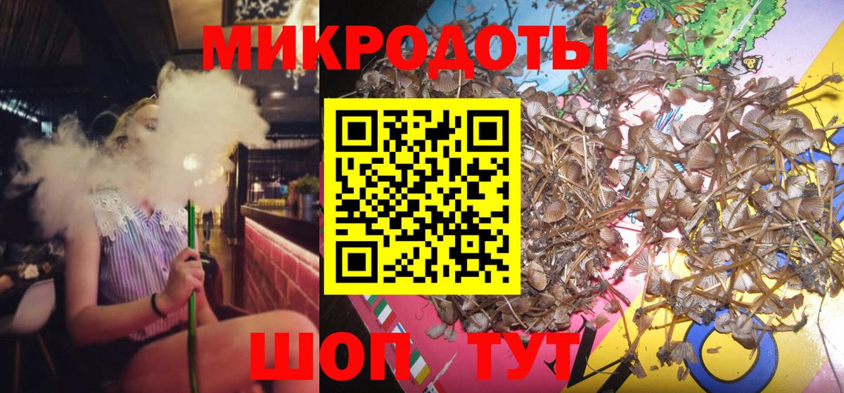 Тосно  Галлюциногенные грибы Psilocybe  Вход с VPN 