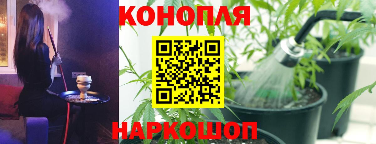 МАРИХУАНА ГИДРОПОН Тосно